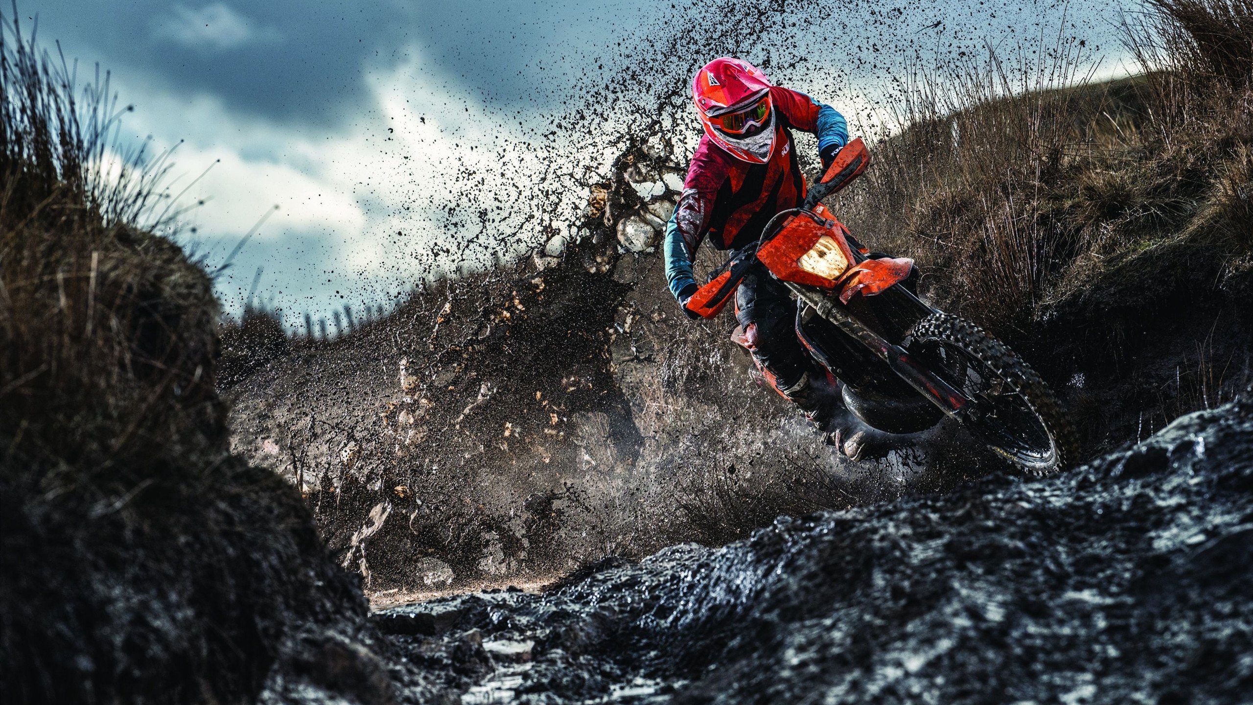 塔图姆一剑封喉，当关键先生在公牛主场诞生